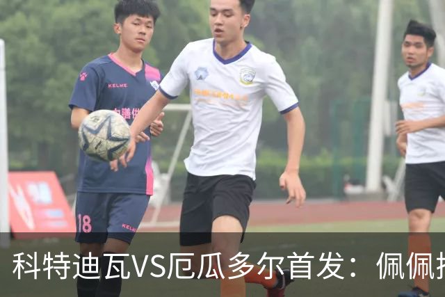 科特迪瓦VS厄瓜多尔首发：佩佩搭档扬-迪 凯塞多领军